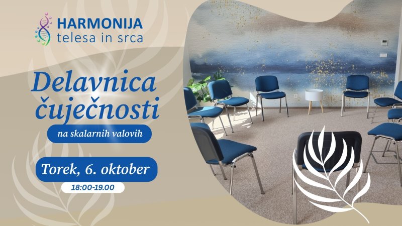 DELAVNICA ČUJEČNOSTI