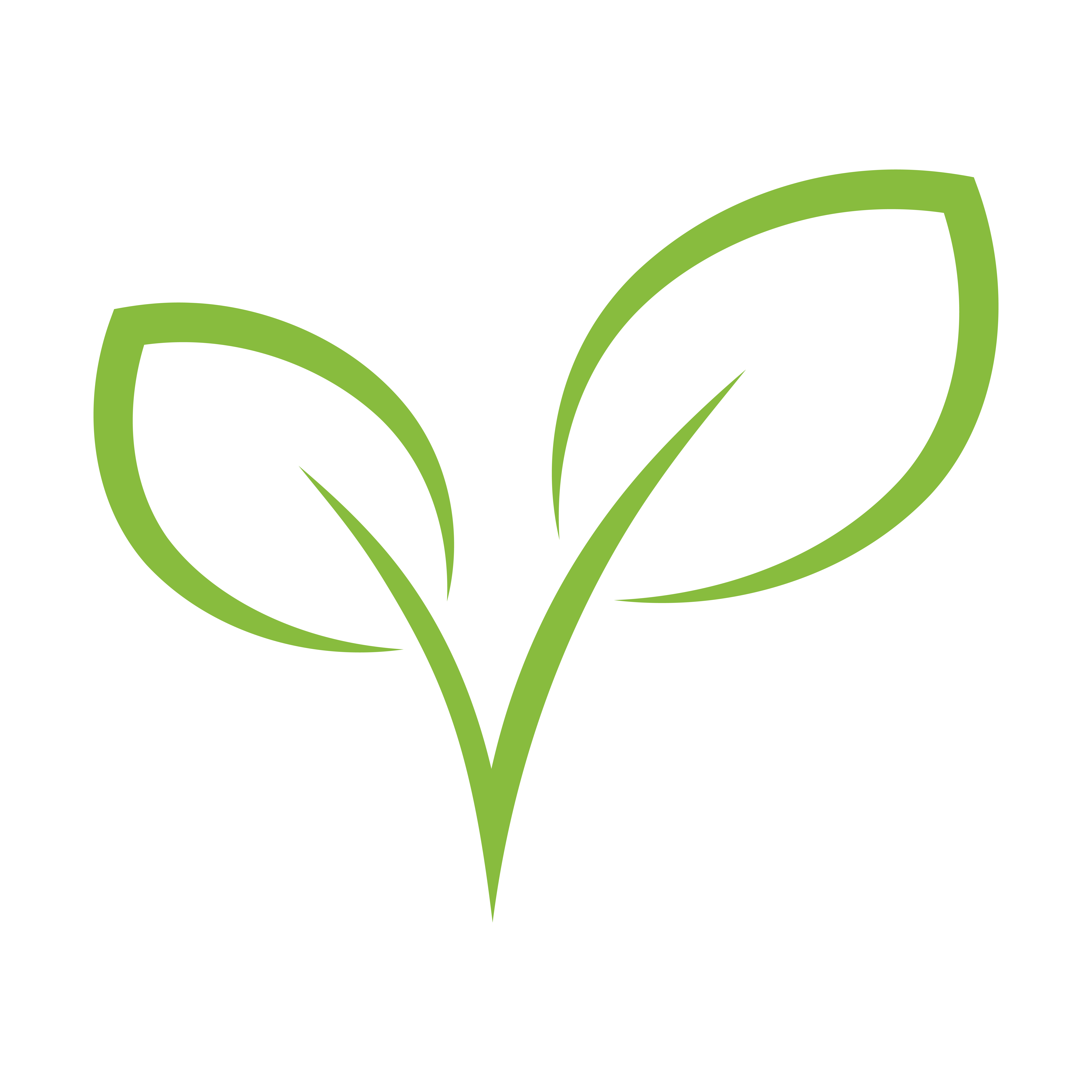 Vegan
