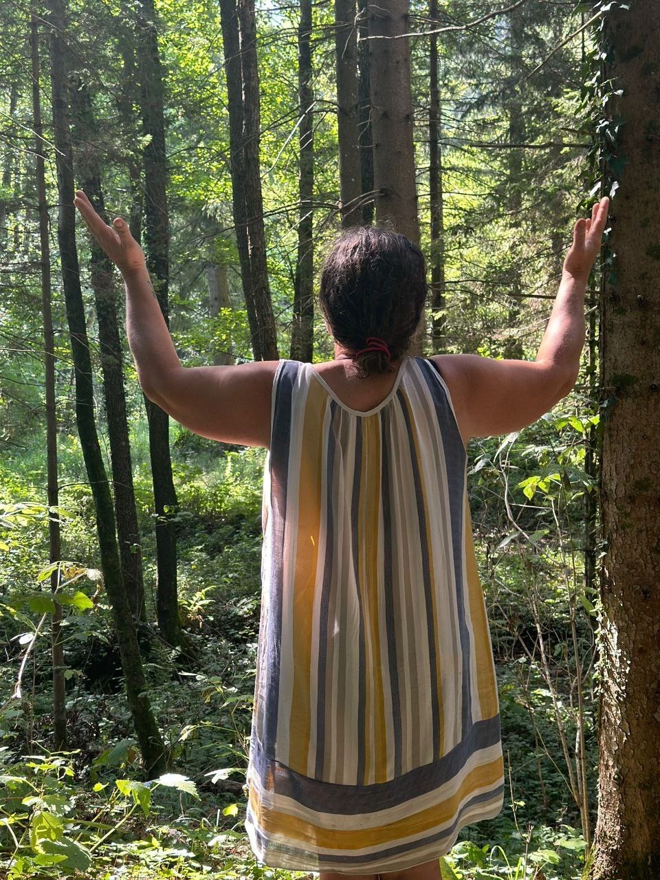 Iskanje vizije